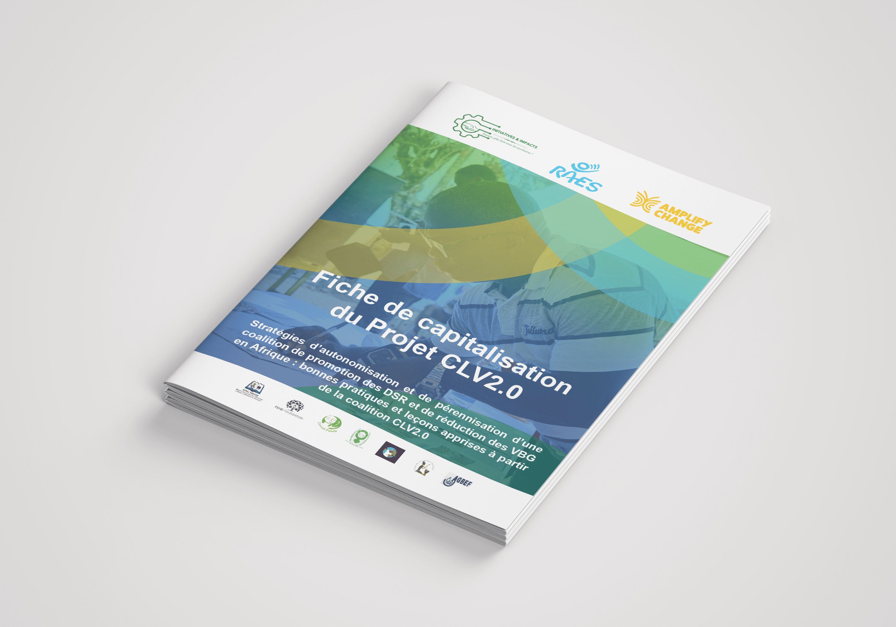 CONCEPTION RAPPORT ET FICHES - PROJET « C’EST LA VIE 2.0 » — visuel 3
