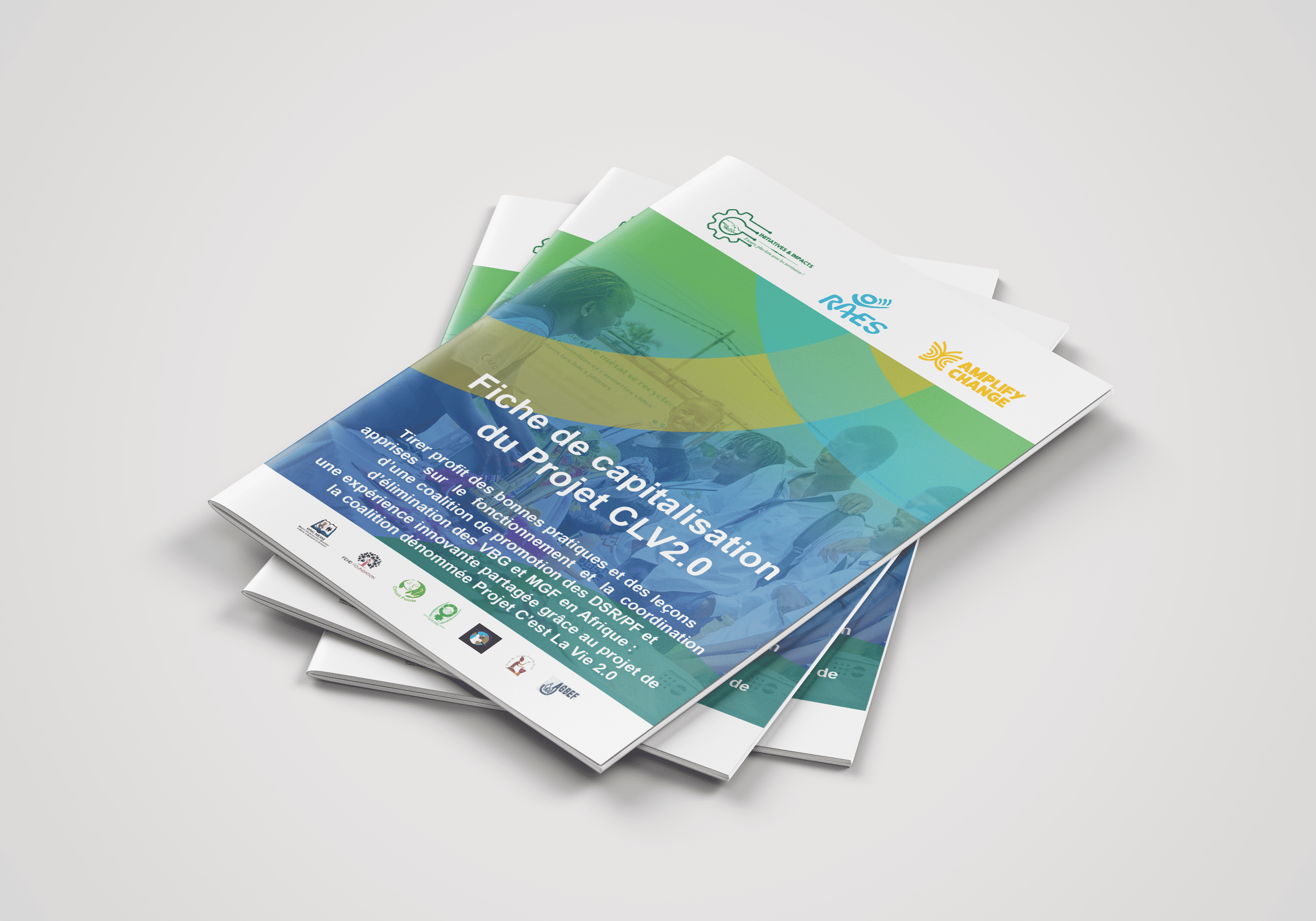 CONCEPTION RAPPORT ET FICHES - PROJET « C’EST LA VIE 2.0 » — visuel 4