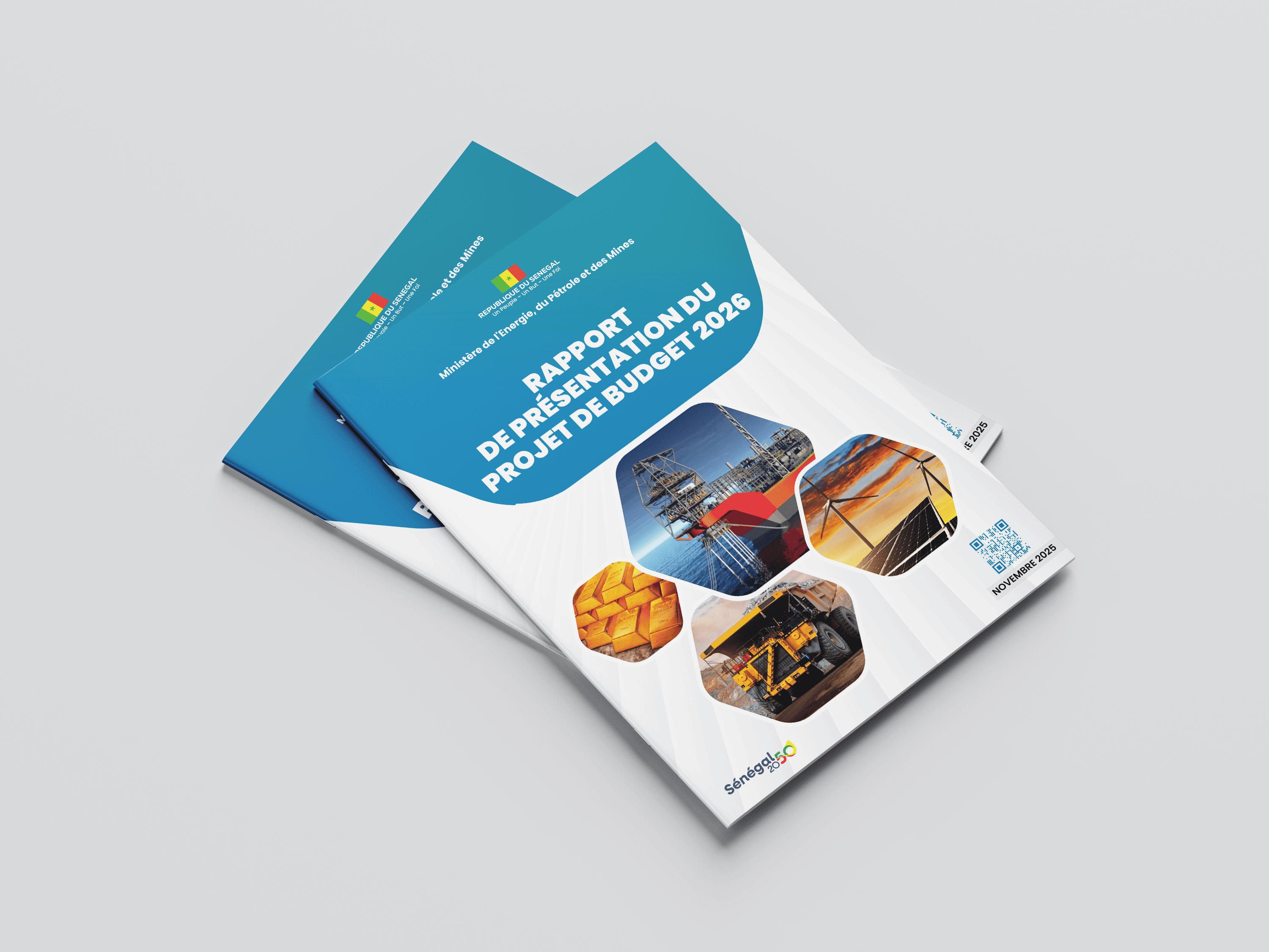 CONCEPTION & PRINT RAPPORT ET FICHES - PROJET « C’EST LA VIE 2.0 » — visuel 2