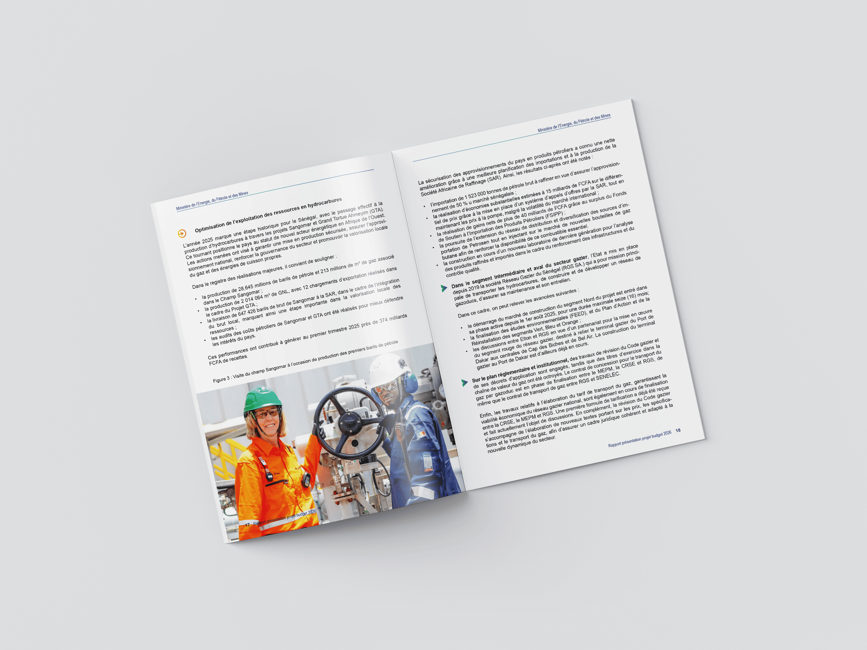 CONCEPTION & PRINT RAPPORT ET FICHES - PROJET « C’EST LA VIE 2.0 » — visuel 4